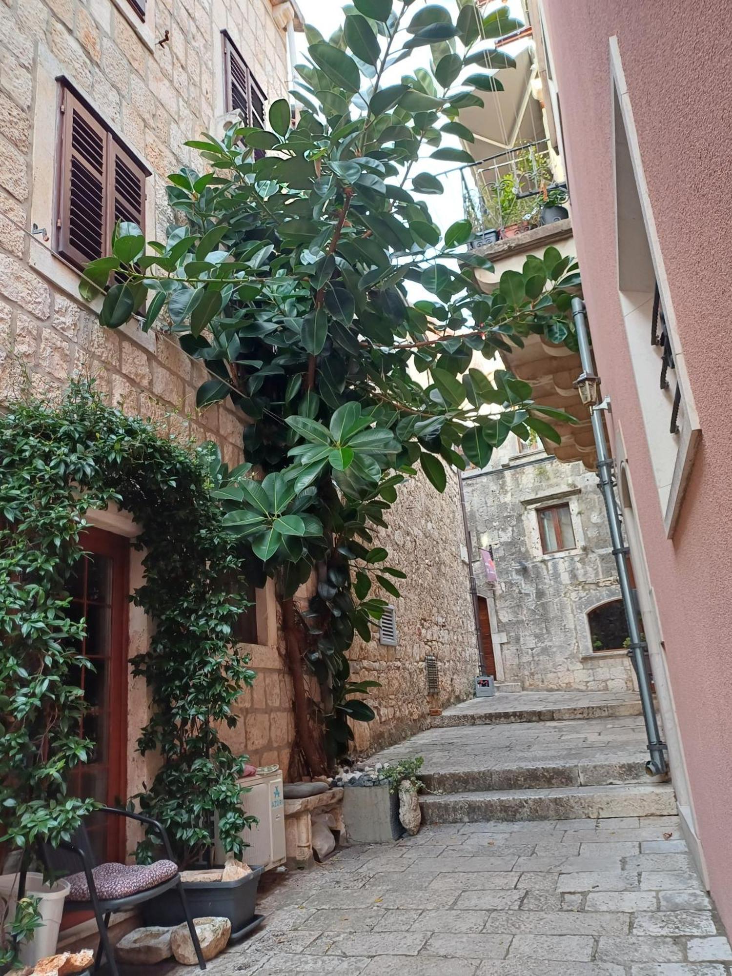 Guest House Jungher Korčula Buitenkant foto